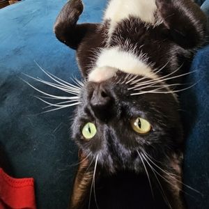 Meet your Posher, Ryan